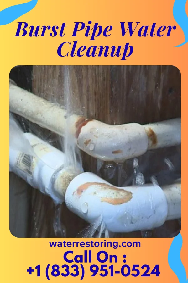 Burst Pipe Water Cleanup in Wilsonville, NE
