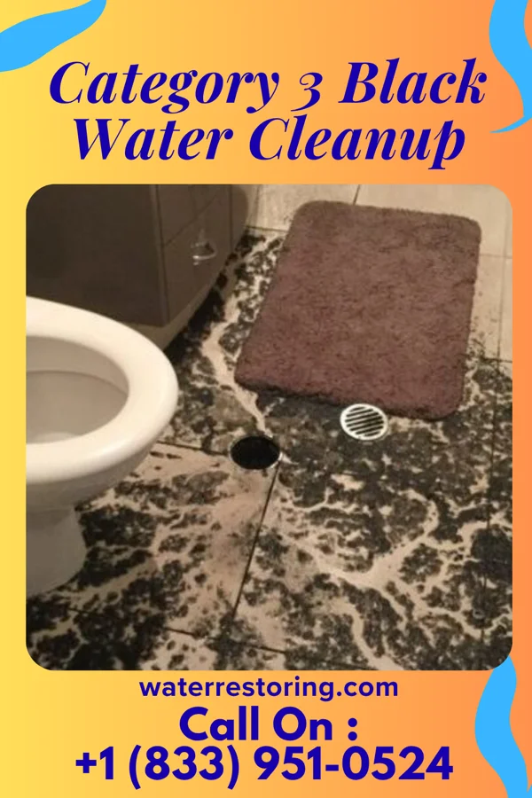 Category 3 Black Water Cleanup in Wilsonville, NE