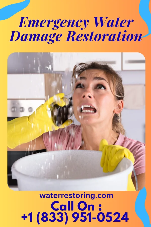 Emergency Water Damage Restoration in Wilsonville, NE