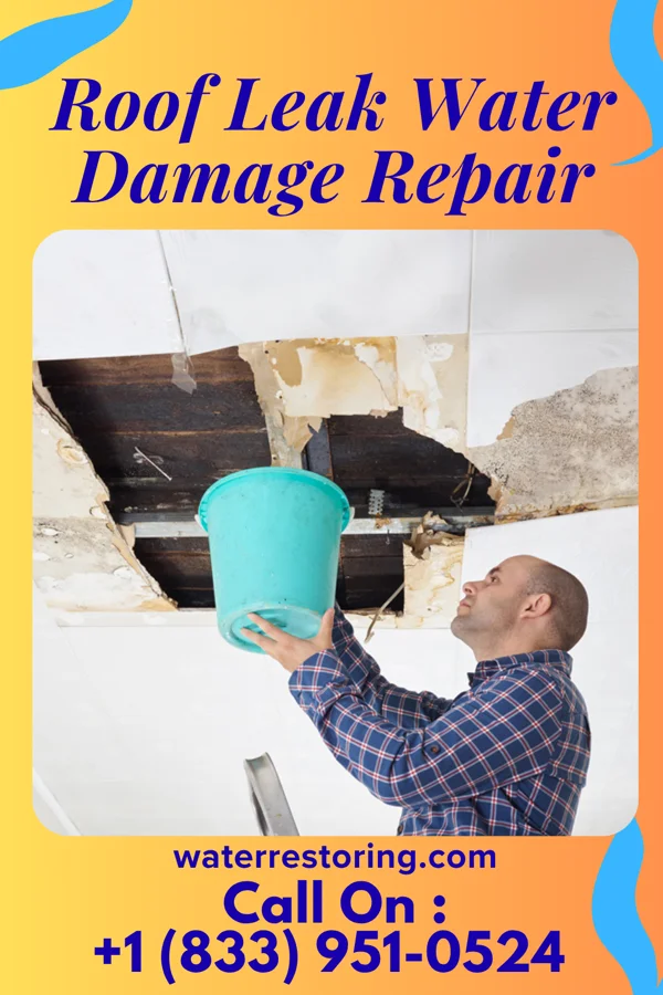 Roof Leak Water Damage Repair in Wilsonville, NE